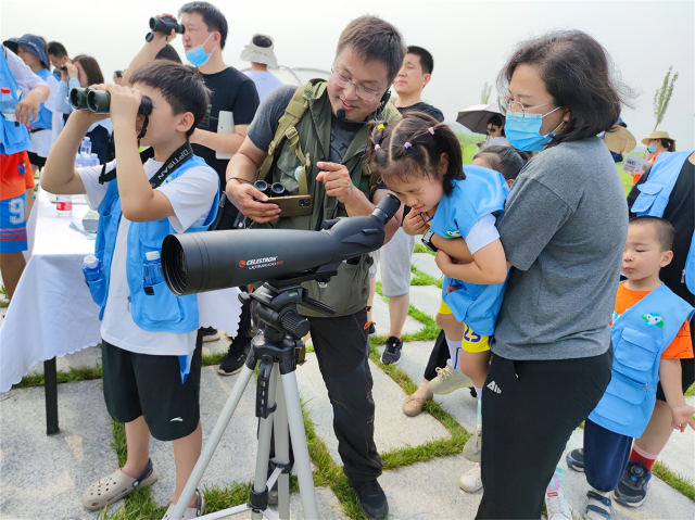 雄安新區(qū)組織兒童到府河濕地觀測白洋淀野生鳥類.png